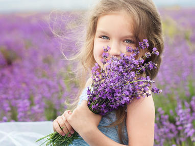 Provence Frankreich Lavendel Maedchen Blumenwiese Fotolia 85891225 Subscription Monthly M